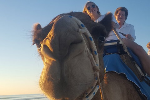 Broome Pre-sunset Camel Tour 30 Minutes - Food Delivery Shop 1