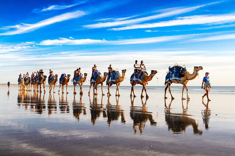 Broome Pre-sunset Camel Tour 30 Minutes - Food Delivery Shop 2