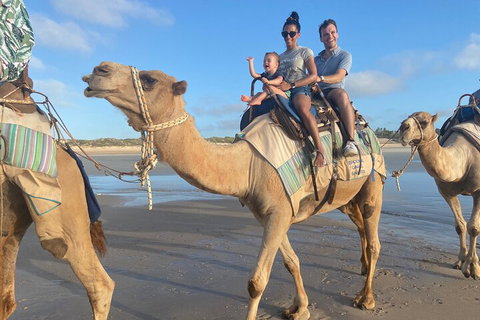 Broome Pre-sunset Camel Tour 30 Minutes - Food Delivery Shop 3