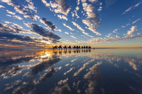 Broome Pre-sunset Camel Tour 30 Minutes - Food Delivery Shop 4