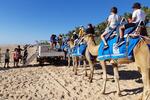 Broome Pre-sunset Camel Tour 30 Minutes - Food Delivery Shop 5