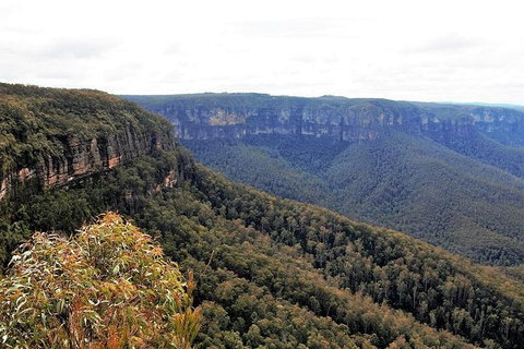 Blue Mountains - Food Delivery Shop 3