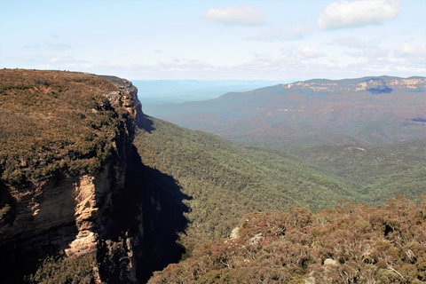 Blue Mountains - Food Delivery Shop 4