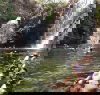 Litchfield National Park and Jumping Crocodile Cruise - Pet Food Australia