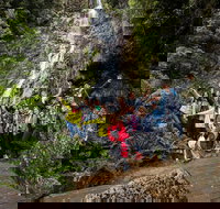 5-Day Lap of Tasmania Tour from Hobart flexible ticket - Pet Food Australia