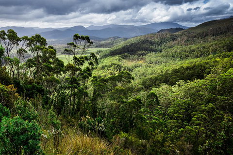 5-Day Lap Of Tasmania Tour From Hobart (flexible Ticket) - Pet Food Australia 2