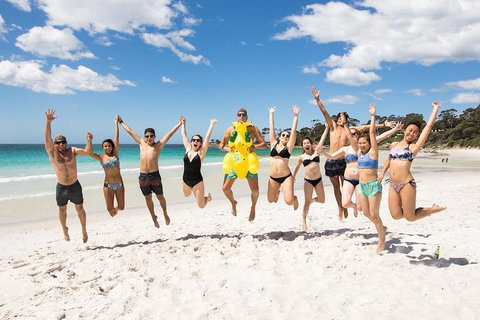 5-Day Lap Of Tasmania Tour From Hobart (flexible Ticket) - Pet Food Australia 4