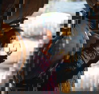 One-Way East Coaster - Pet Food Australia