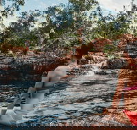 Litchfield National Park Day Tour from Darwin With Waterfalls And Buley Rockhole - Pet Food Australia
