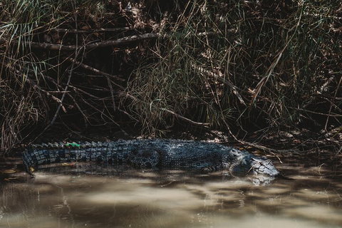 Kakadu Full-Day Tour From Darwin With Lunch - Food Delivery Shop 4