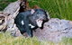 Private Blue Mountains Tour With Kangaroo And Koala Experience - thumb 0