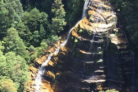 Private Blue Mountains Tour With Kangaroo And Koala Experience - Food Delivery Shop 5