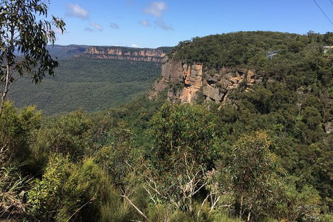 Full-Day Private Blue Mountains Tour With River Cruise - Food Delivery Shop 1