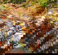 Full-day Springbrook National Park Tour from the Gold Coast - Food Delivery Shop