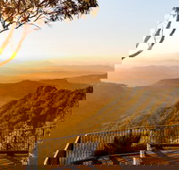 O'Reilly's  Lamington National Park incl. Alpaca Farm  Vineyard - Pet Food Australia