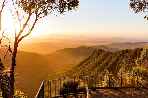 O'Reilly's & Lamington National Park Incl. Alpaca Farm + Vineyard - Food Delivery Shop 0
