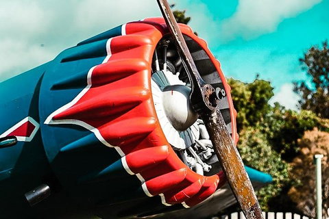 O'Reilly's & Lamington National Park Incl. Alpaca Farm + Vineyard - Food Delivery Shop 1