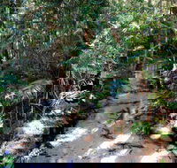 Fraser Island 4WD Tour from Rainbow Beach - Pet Food Australia