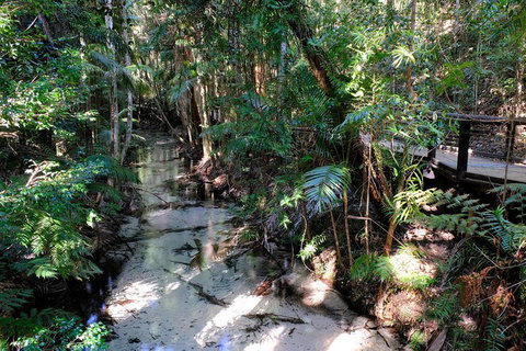 Fraser Island 4WD Tour From Rainbow Beach - Food Delivery Shop 0