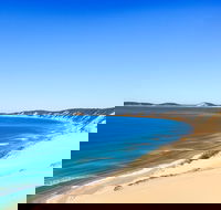 Kayak with Dolphins and 4WD Great Beach Drive Day Trip from Noosa - Pet Food Australia