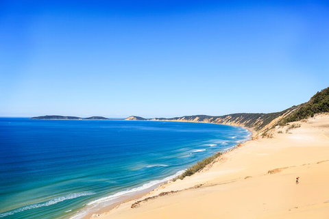 Kayak With Dolphins And 4WD Great Beach Drive Day Trip From Noosa - Pet Food Australia 0