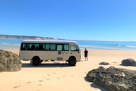 Kayak With Dolphins And 4WD Great Beach Drive Day Trip From Noosa - Pet Food Australia 4