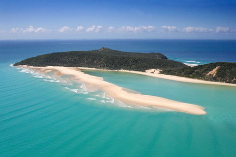 Kayak With Dolphins And 4WD Great Beach Drive Day Trip From Noosa - Pet Food Australia 5