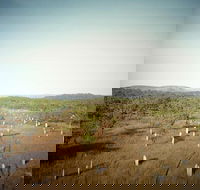 ETHICAL ADVENTURES - Litchfield Region Max 10 guests - Pet Food Australia