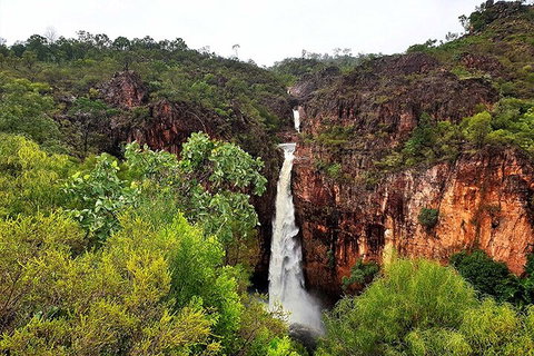 Ethical Adventures - Best In The WET - Litchfield / Kakadu 3 Day- Max 10 Guests - Pet Food Australia 2