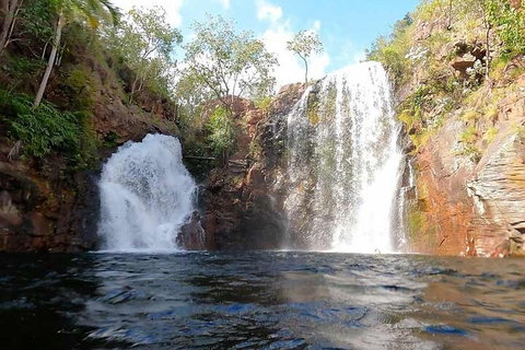 Ethical Adventures - Best In The WET - Litchfield / Kakadu 3 Day- Max 10 Guests - Pet Food Australia 5