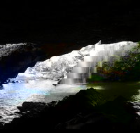 Rainforest  Waterfalls Extravaganza - Pet Food Australia