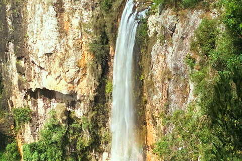 Natural Arch, Rainforest & Volcano Canyon - Private Half Day Tour - Pet Food Australia 2