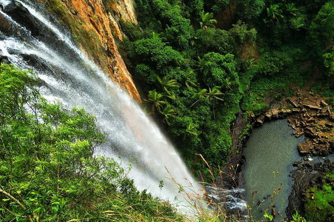 Natural Arch, Rainforest & Volcano Canyon - Private Half Day Tour - Pet Food Australia 5