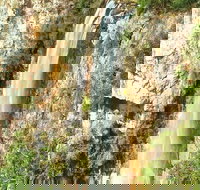 Private Tour - Rainforest  Waterfalls Extravaganza - Pet Food Australia