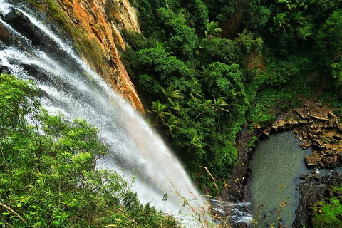 Private Tour - Rainforest & Waterfalls Extravaganza - Food Delivery Shop 2