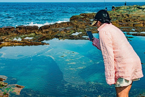 Sydney Private Tour Featuring Wilderness, Wildlife, Waves, Waterfalls And Wine - Pet Food Australia 1