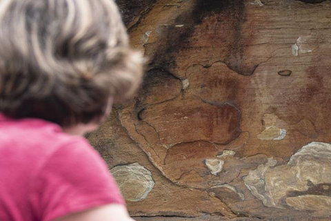 Sydney Private Tour Featuring Wilderness, Wildlife, Waves, Waterfalls And Wine - Pet Food Australia 2