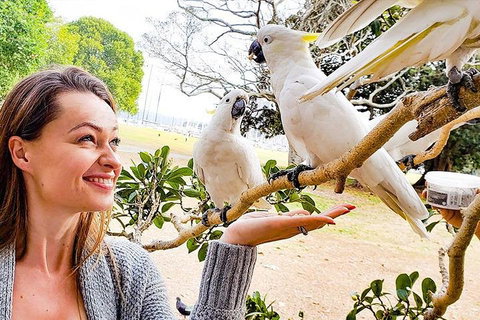 Sydney Private Tour Featuring Wilderness, Wildlife, Waves, Waterfalls And Wine - Pet Food Australia 4