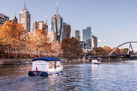 2-Hour Self-Drive Boat Hire On The Yarra River - Pet Food Australia 3