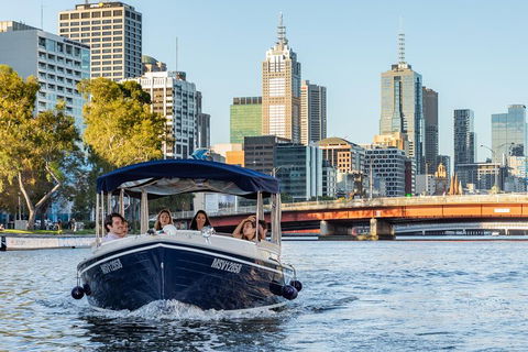 2-Hour Self-Drive Boat Hire On The Yarra River - Pet Food Australia 4