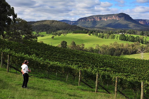 Private Blue Mountains And Winery Day-Trip From Sydney - Pet Food Australia 2