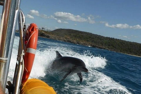 Noosa Oceanrider - Adventure Tour - Food Delivery Shop 1