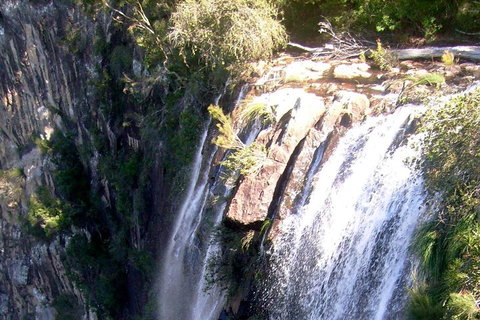 Byron Bay Combo: Hinterland Tour Including Minyon Falls And Kayaking With Dolphins - Food Delivery Shop 3