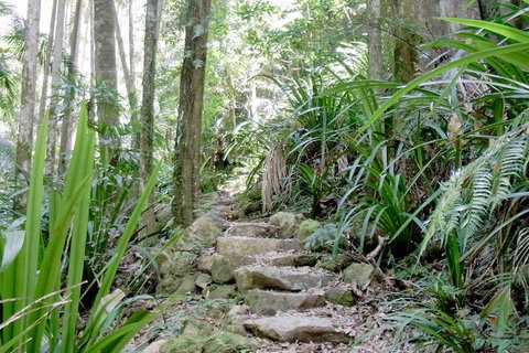 Byron Bay Combo: Hinterland Tour Including Minyon Falls And Kayaking With Dolphins - Food Delivery Shop 5