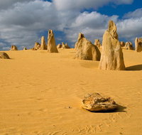 The Pinnacles Sea and Dunescapes Bush Reserve and Sunset Day Tour - Food Delivery Shop