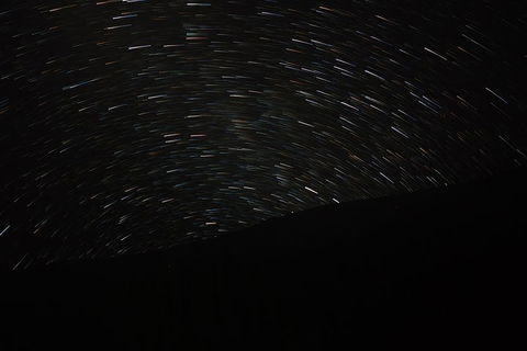 Wave Rock, Wild Flowers And Astro Photography - Pet Food Australia 1