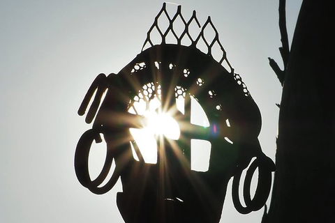 Wave Rock, Wild Flowers And Astro Photography - Pet Food Australia 4