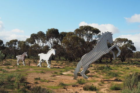 Wave Rock, Wild Flowers And Astro Photography - Pet Food Australia 5