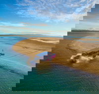 Town of 1770 Afternoon Cruise - Pet Food Australia