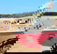 1770 Coastline Tour by LARC Amphibious Vehicle Including Picnic Lunch - Pet Food Australia